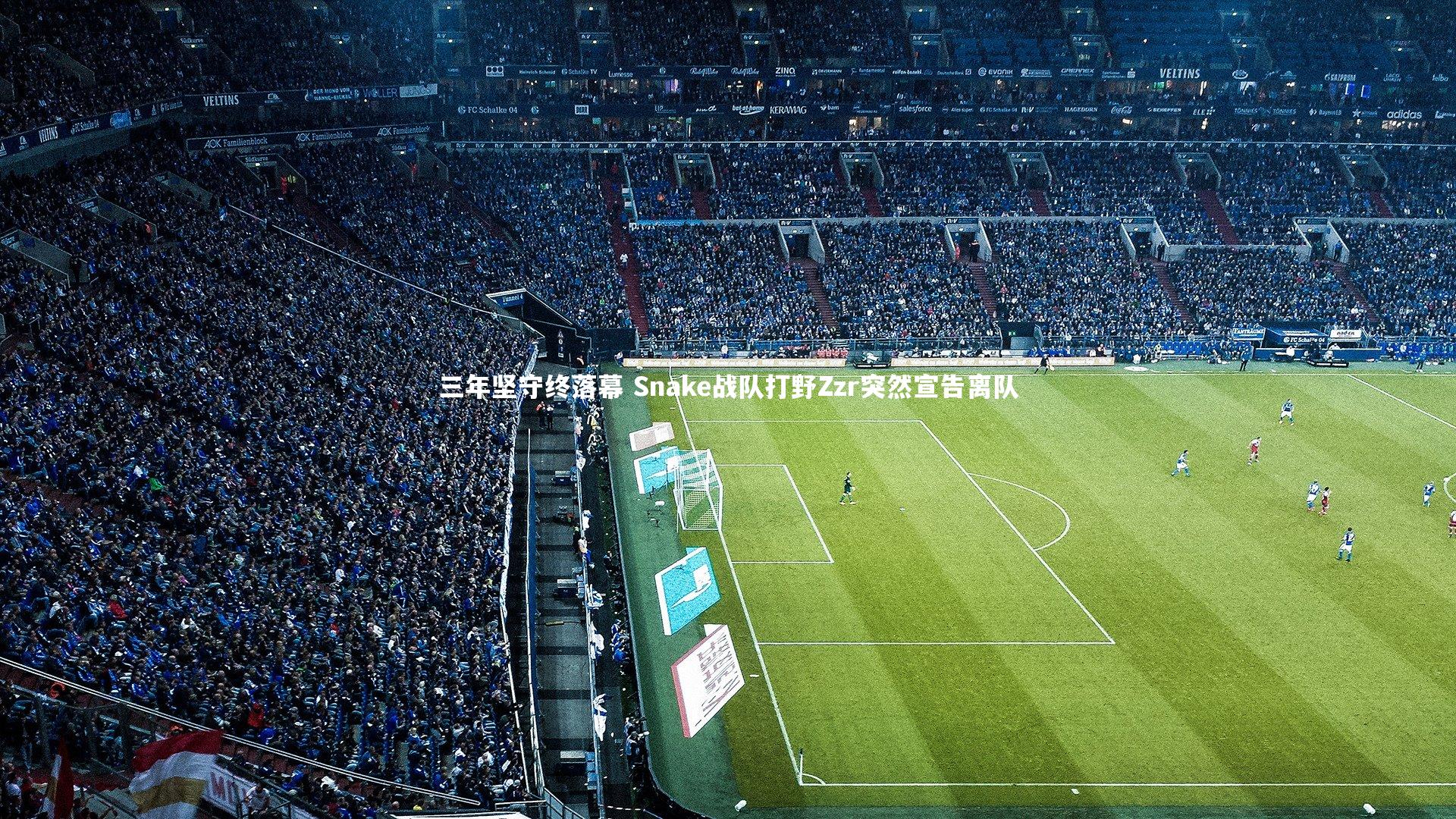 三年坚守终落幕 Snake战队打野Zzr突然宣告离队