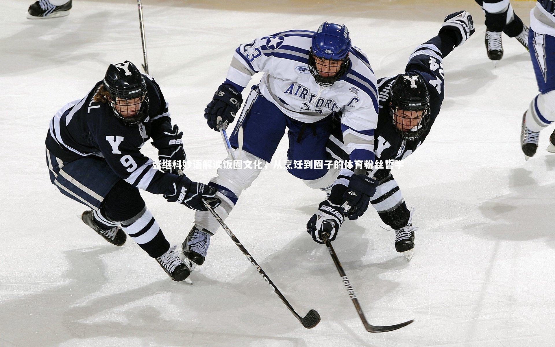 张继科妙语解读饭圈文化，从烹饪到圈子的体育粉丝哲学